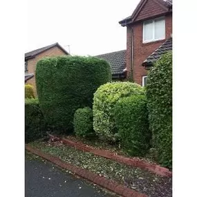 Bild von Fix Up Handyman & Gardening Services