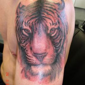 Bild von Tattoo Mania