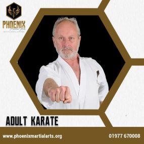 Bild von Phoenix Martial Arts