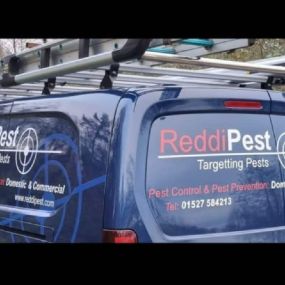 Bild von Reddi Pest Ltd