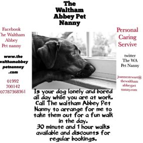 Bild von The Waltham Abbey Pet Nanny