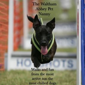 Bild von The Waltham Abbey Pet Nanny