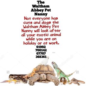 Bild von The Waltham Abbey Pet Nanny