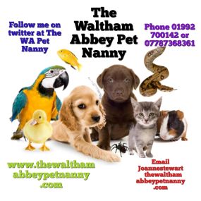 Bild von The Waltham Abbey Pet Nanny