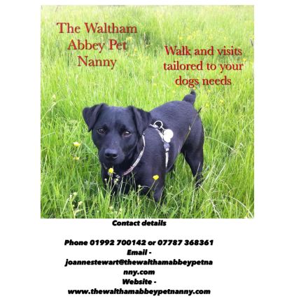 Logo from The Waltham Abbey Pet Nanny