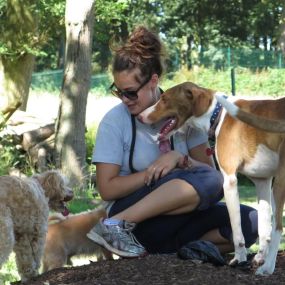 Bild von Elmtree Doggy Day Care Centre