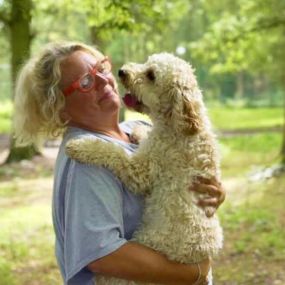 Bild von Elmtree Doggy Day Care Centre