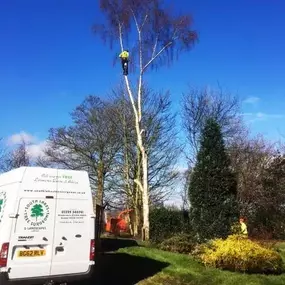 Bild von South Lakes Tree Surgeons