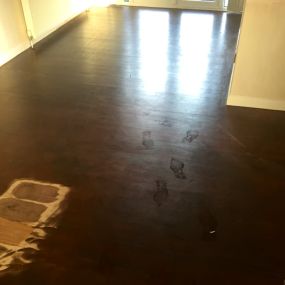 Bild von Restore a Floor Northwest