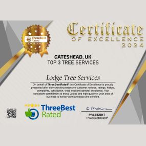 Bild von Lodge Tree Services