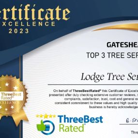 Bild von Lodge Tree Services