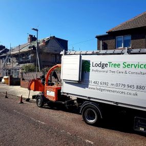 Bild von Lodge Tree Services