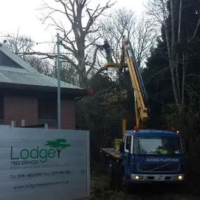 Bild von Lodge Tree Services