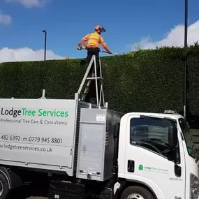 Bild von Lodge Tree Services