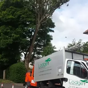 Bild von Lodge Tree Services