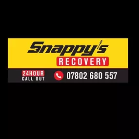 Bild von Snappy's Recovery