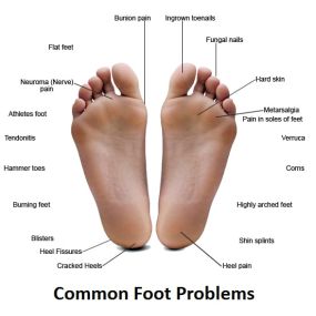 Bild von Betafeet Podiatry