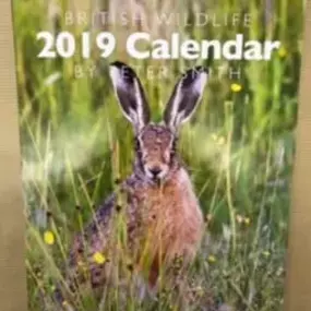 Bild von Sprintprint