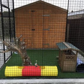 Bild von Pet Chalet Cattery