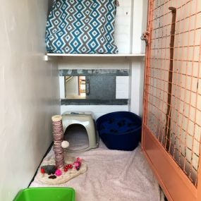 Bild von Pet Chalet Cattery