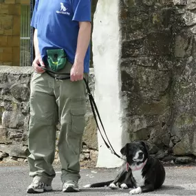 Bild von Have a Good Dog