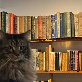 Bild von The Antique Map & Bookshop