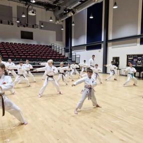 Bild von Saikyou Karate Club