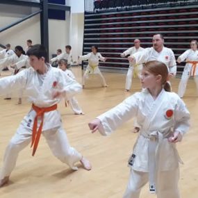 Bild von Saikyou Karate Club