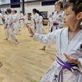 Bild von Saikyou Karate Club