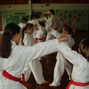 Bild von Saikyou Karate Club