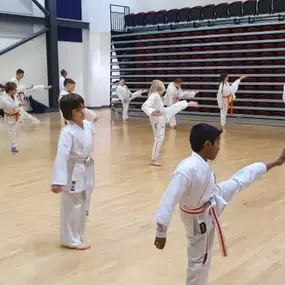 Bild von Saikyou Karate Club