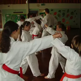 Bild von Saikyou Karate Club