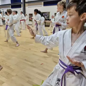 Bild von Saikyou Karate Club