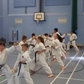 Bild von Saikyou Karate Club