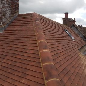 Bild von Stevenage Roofing Services