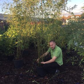 Bild von The Big Green Plant Centre