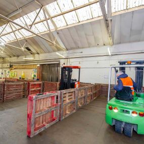 Bild von Forklift Training Expert