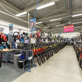 Bild von DECATHLON