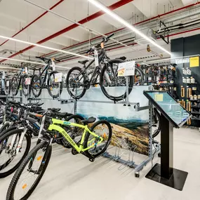 Bild von DECATHLON Dortmund-Aplerbeck