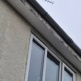 Bild von First 4 Roofing