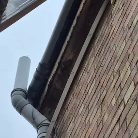 Bild von First 4 Roofing