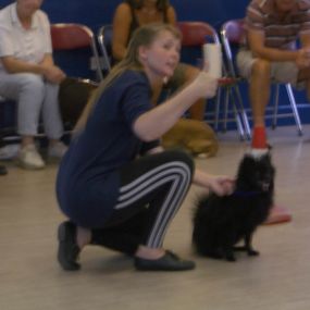 Bild von Brookwood & Normandy Dog Training