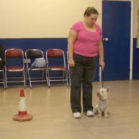 Bild von Brookwood & Normandy Dog Training