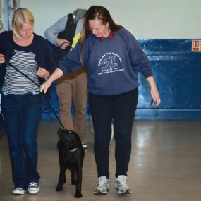 Bild von Brookwood & Normandy Dog Training