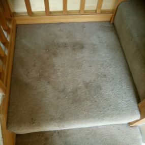 Bild von MM Carpet Care