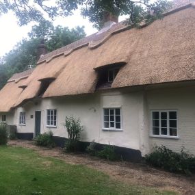 Bild von Anglia Thatching Co