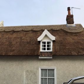 Bild von Anglia Thatching Co