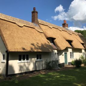 Bild von Anglia Thatching Co