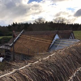 Bild von Anglia Thatching Co