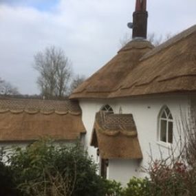 Bild von Anglia Thatching Co